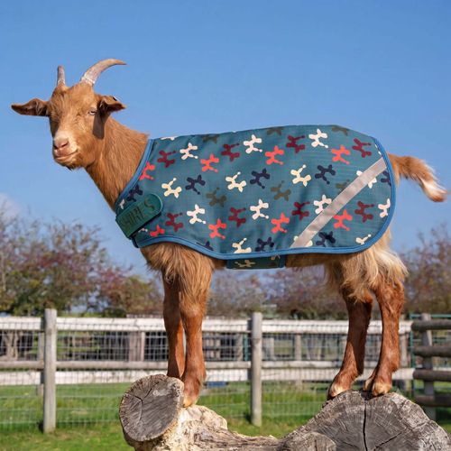 Shires Tempest Goat Rug 100 - Balloon Dog