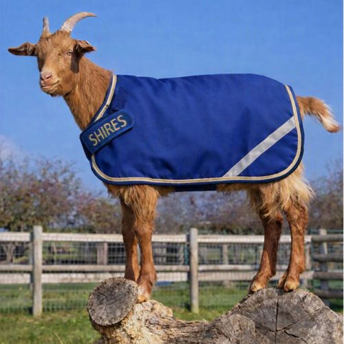 Shires Tempest Goat Rug 200 - Navy