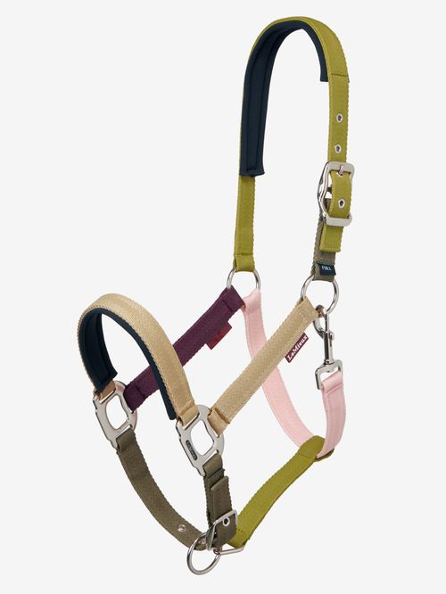 LeMieux Medley Headcollar - Gooseberry/Pear/Petal
