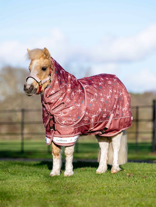 LeMieux Arika Star Turnout Rug 100g - Spiced Earth