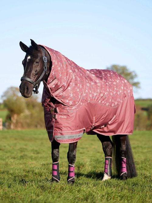 LeMieux Arika Star Turnout Rug 0g - Spiced Earth