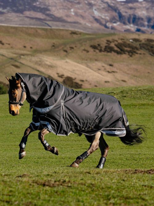 LeMieux Kudos Neo-Turnout Rug 200g - Black
