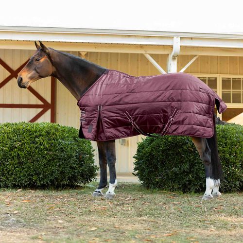 Equinavia Norse Stable Blanket 200g - Burgundy