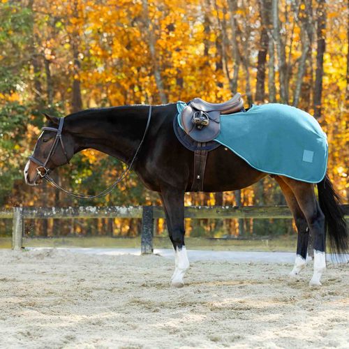 Equinavia Norse Fleece Quarter Sheet - Lyons Blue