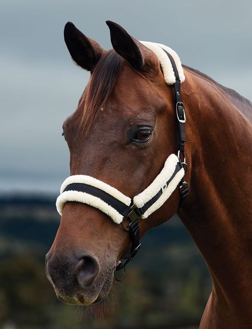 Dublin Soft Fit Breakaway Headcollar - Black