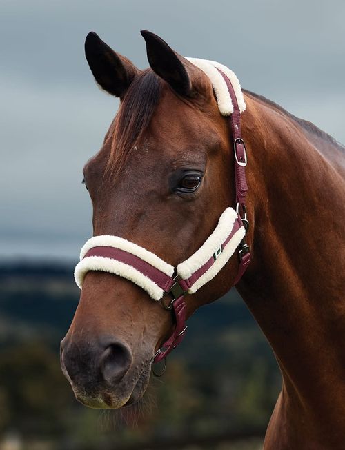Dublin Soft Fit Breakaway Headcollar - Burgundy