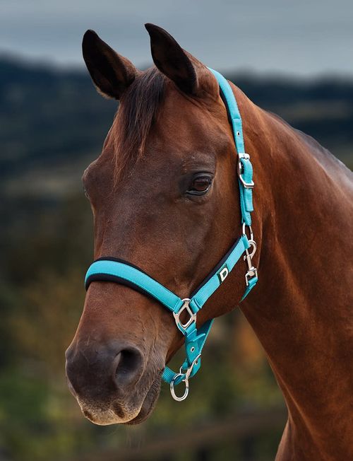 Dublin Neo Comfort Breakaway Headcollar - Dark Turquoise