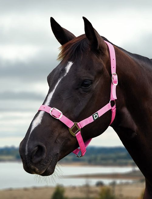 Dublin Everyday Breakaway Halter - Pink