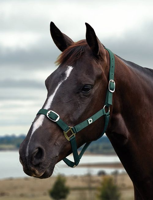 Dublin Everyday Breakaway Halter - Green