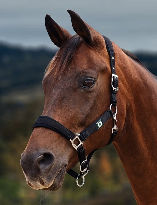 Dublin Neo Comfort Breakaway Headcollar - Black