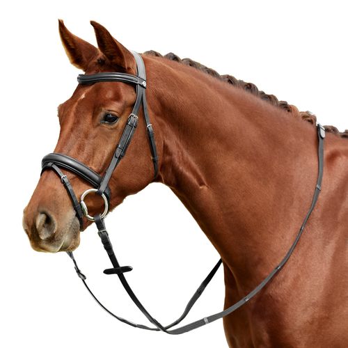 Dublin Padded Flash Bridle - Black