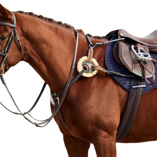 Dublin 5-Point Event Breastplate - Brown