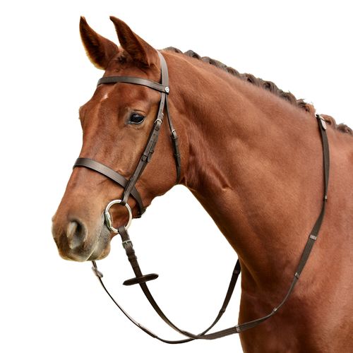 Dublin Flat Cavesson Bridle - Brown