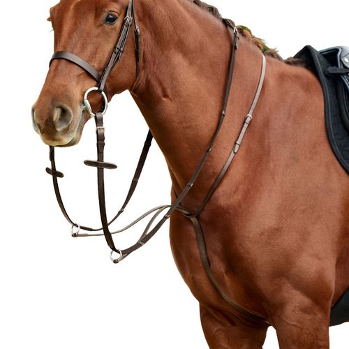 Dublin Running Martingale - Brown