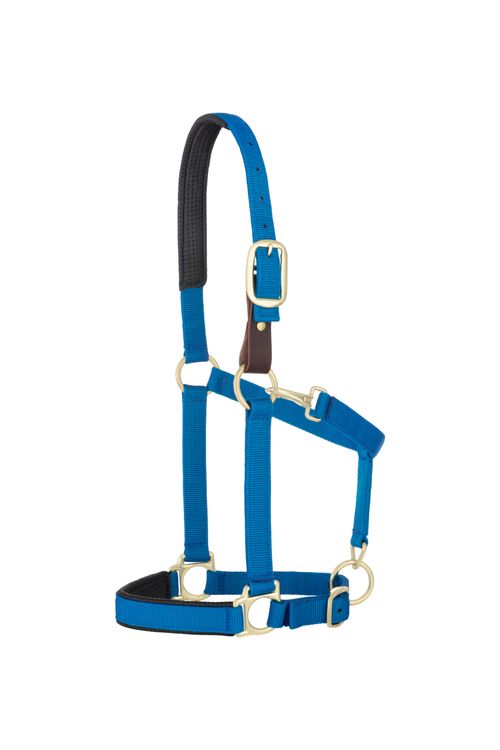 SALE RACK: Weaver Padded Breakaway Adjustable Halter - Average Horse - Blue
