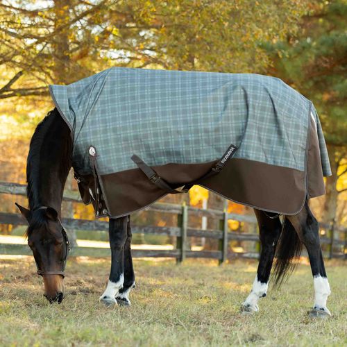 Equinavia Arktis Extended Neck Turnout Sheet - Dark Brown/Thyme