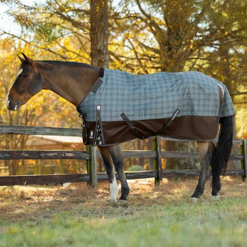 Equinavia Arktis Regular Neck Light Weight Turnout Blanket 100g - Dark Brown/Thyme