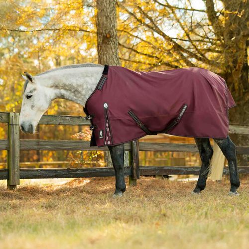 Equinavia Norse Mid Weight Turnout Blanket 200g - Burgundy