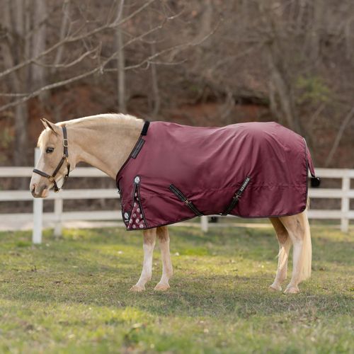 Equinavia Norse Pony Turnout Sheet - Burgundy