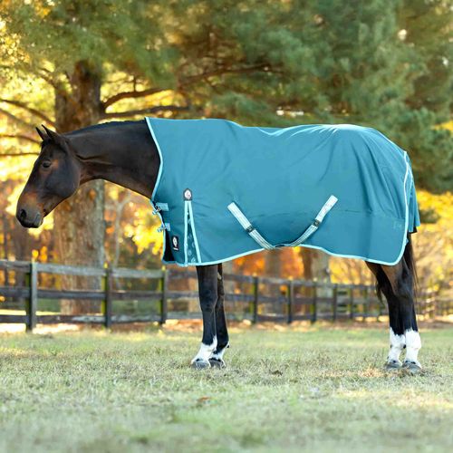 Equinavia Arktis Extended Neck Turnout Sheet - Lyons Blue