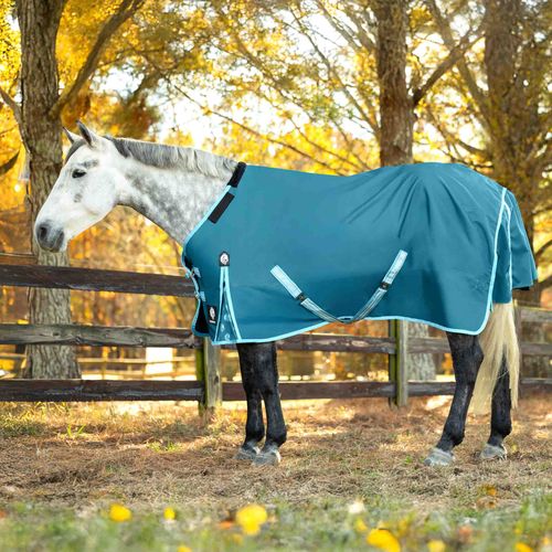 Equinavia Arktis Regular Neck Heavy Weight Turnout Blanket 300g - Lyons Blue