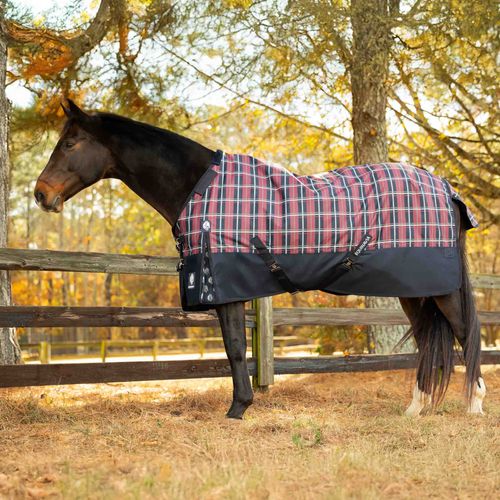 Equinavia Norse Fleece Lined Turnout Blanket - Navy/Burgundy