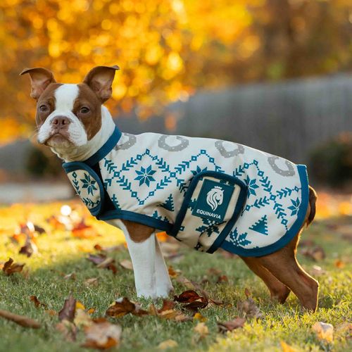 Equinavia Norse Dog Turnout Sheet - Lyons Blue/Vanilla Cream