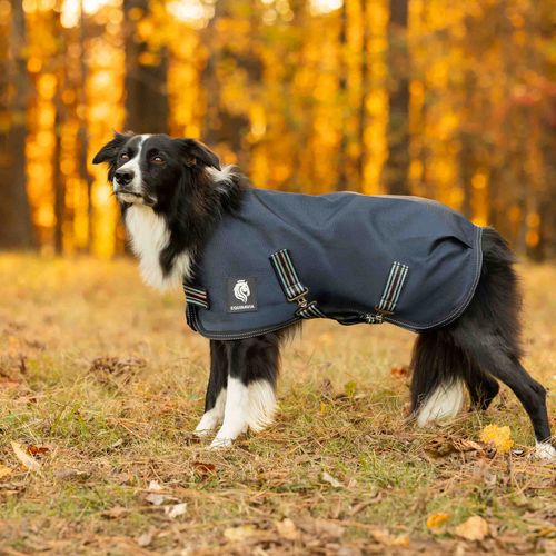 Equinavia Arktis Dog Turnout Sheet - Navy