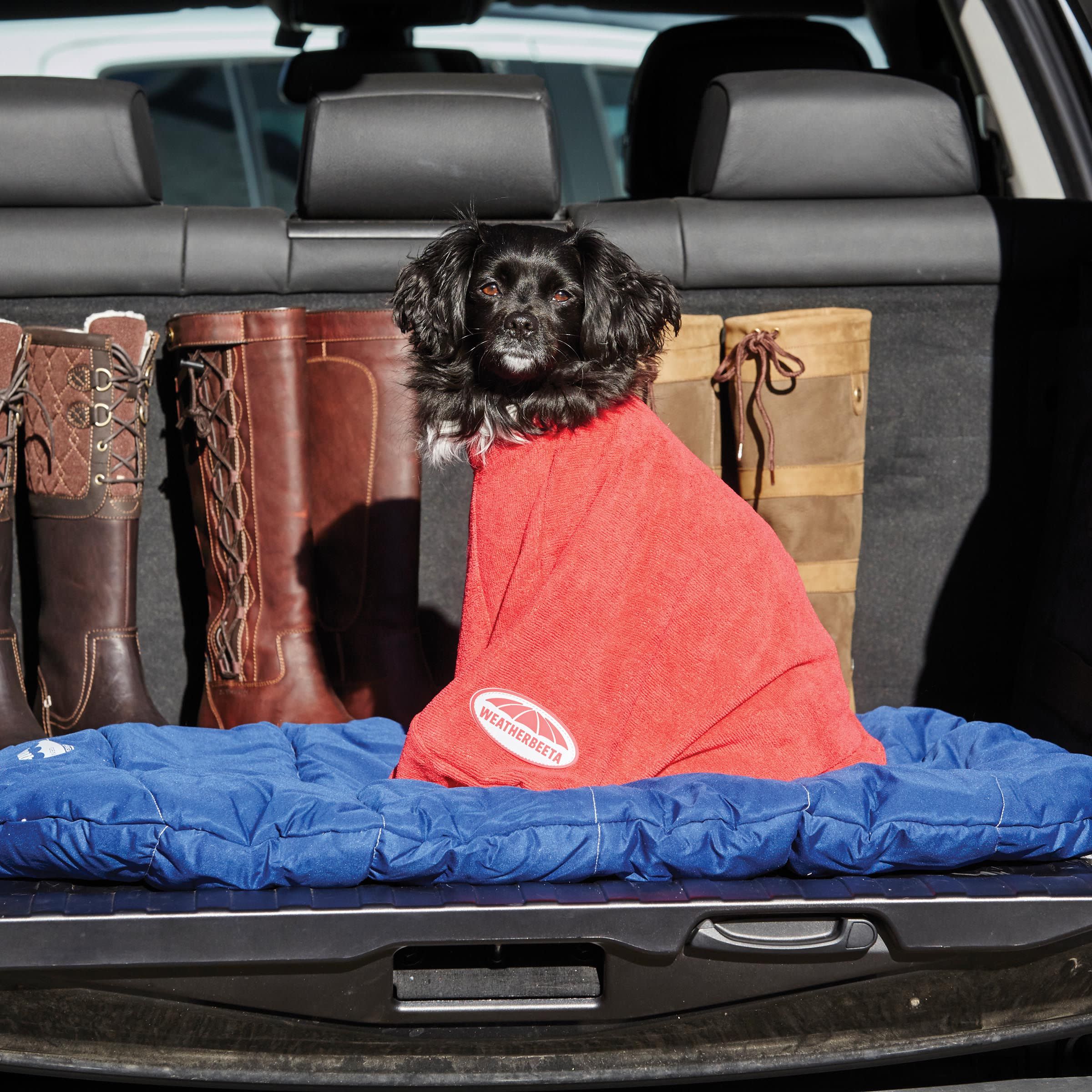 Weatherbeeta Dry Dog Bag Red WeatherbeetaBNX101271Red