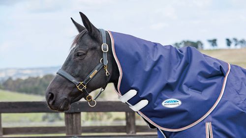Weatherbeeta Comfitec Essential Neck Rug Lite - Navy/Silver/Red