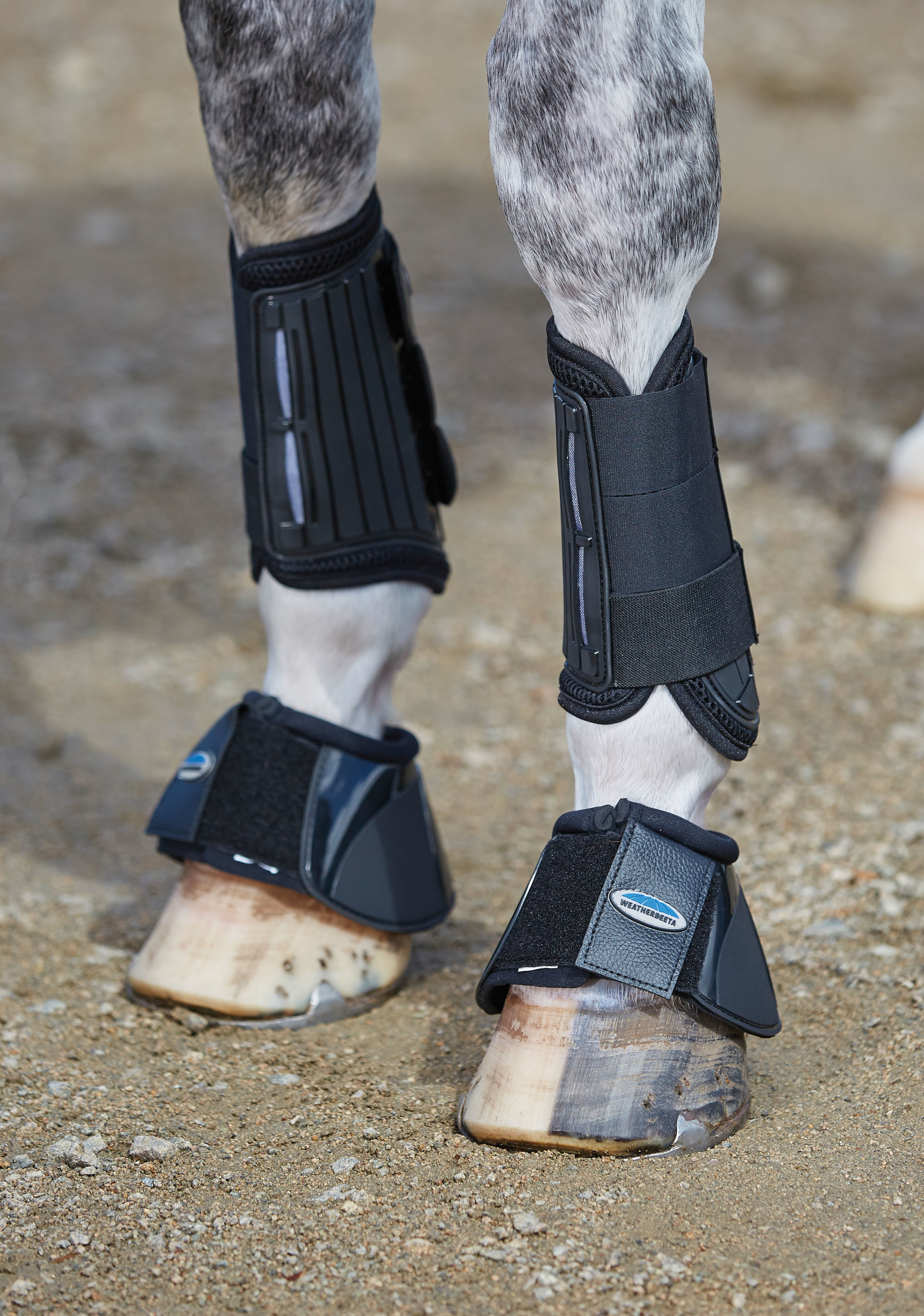 Weatherbeeta shop eventing boots