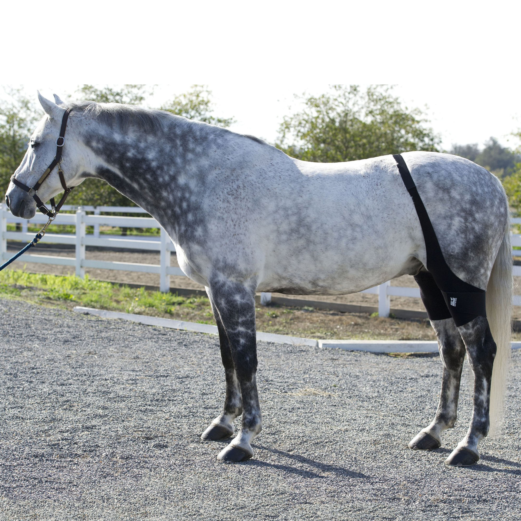 Ice Horse Stifle Wrap Black Ice HorseIHF9000Black