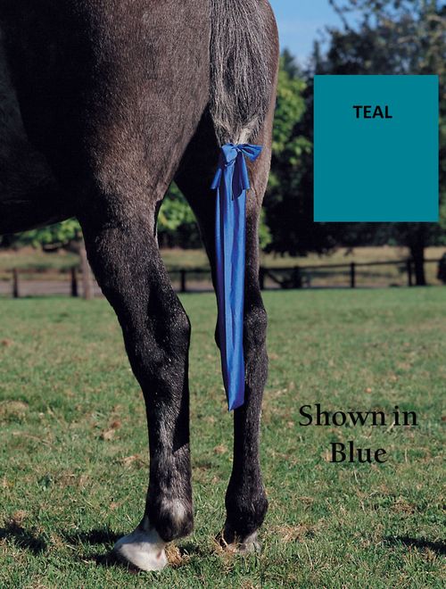 Jammies Tail Bag - Teal