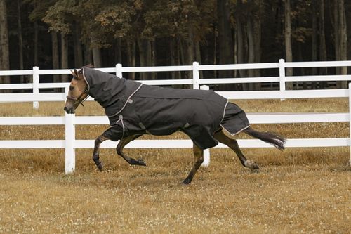 TuffRider All Season Blanket - Black