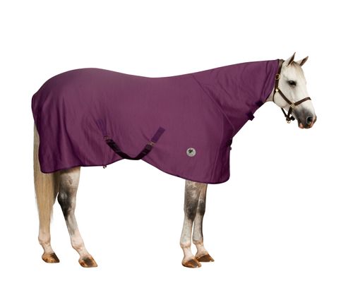 Centaur Turbo-Dry Cooler w/Neck - Orchid