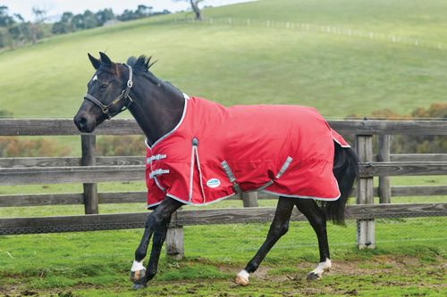 Weatherbeeta Comfitec Classic Standard Neck Medium - Red/Silver/Navy
