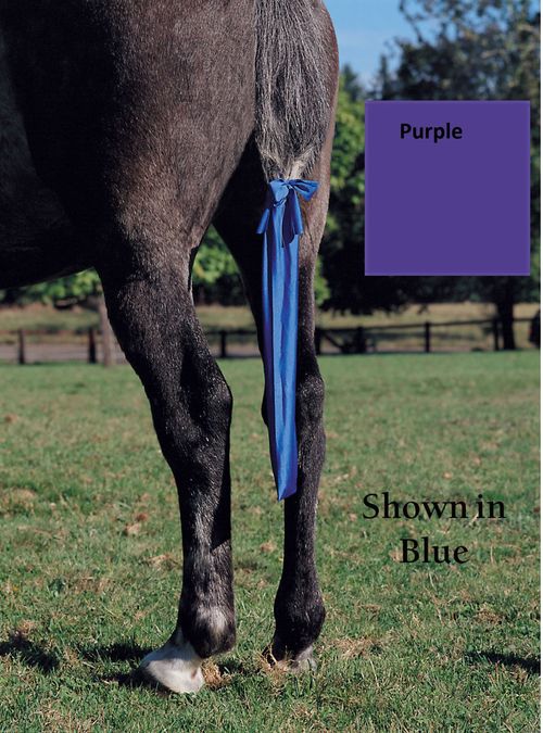 Jammies Tail Bag - Purple