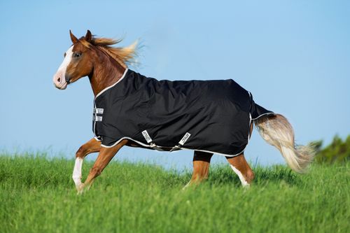 Amigo Stock Horse Turnout 0g - Black/Silver