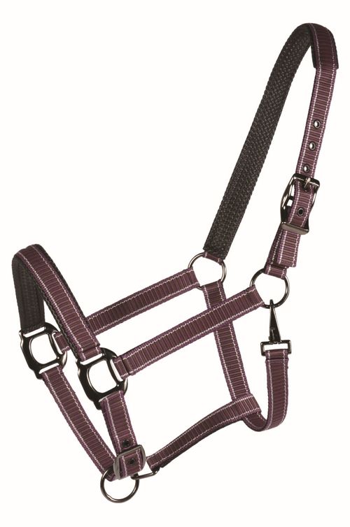 Western Rawhide Country LegendDesigner Padded Halter - Purple/Brown