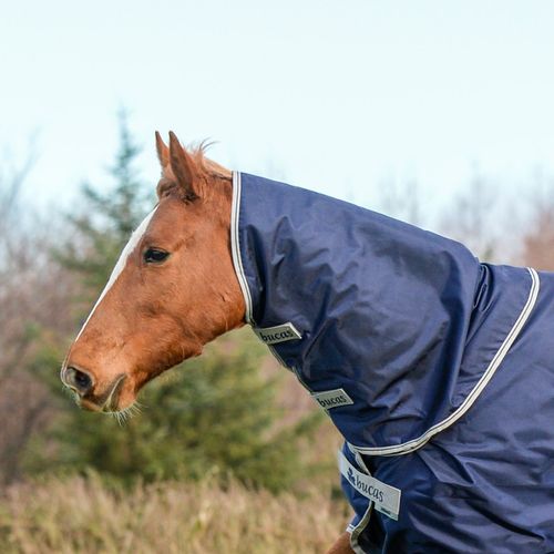 Bucas Atlantic Combi Neck 50G - Navy