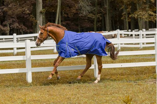 TuffRider 1200 D Comfy Turnout Blanket - Royal