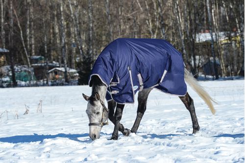 Weatherbeeta Comfitec Essential Combo Neck Heavy Turnout - Navy/Silver/Red