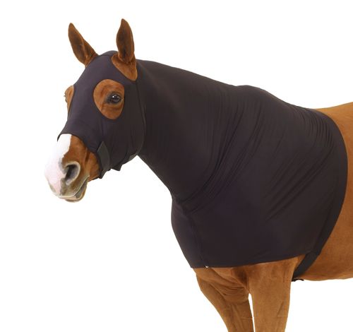 Centaur Spandex Zip Hood - Royal Blue