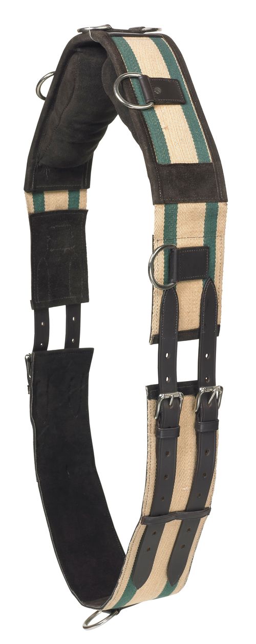 Camelot Web 8-Ring Surcingle - Brown