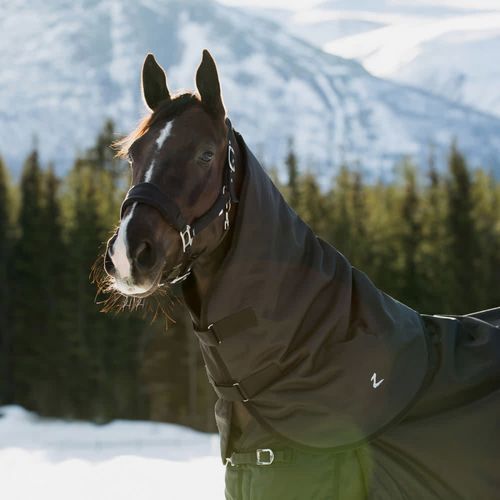 Horze Nevada 200g Turnout Neck Cover - Black