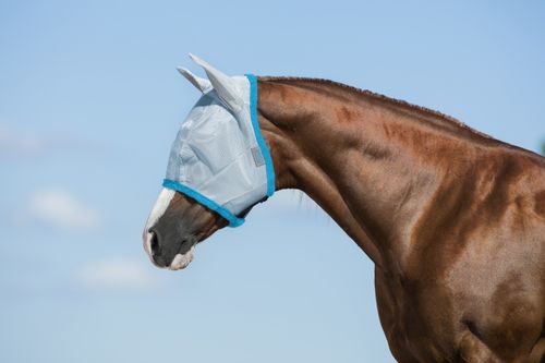 Amigo Fly Mask - Baby Blue/Electric Blue