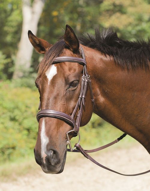 Shires Avignon Wellington Bridle - Havana