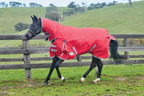 Weatherbeeta Comfitec Classic Combo Neck Medium - Red/Silver/Navy