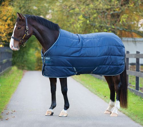 Amigo Insulator Stable Blanket 100g - Navy/Navy/White