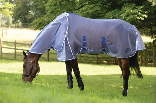 Weatherbeeta Comfitec Ripshield Plus With Belly Wrap Detach A Neck - White/Blue